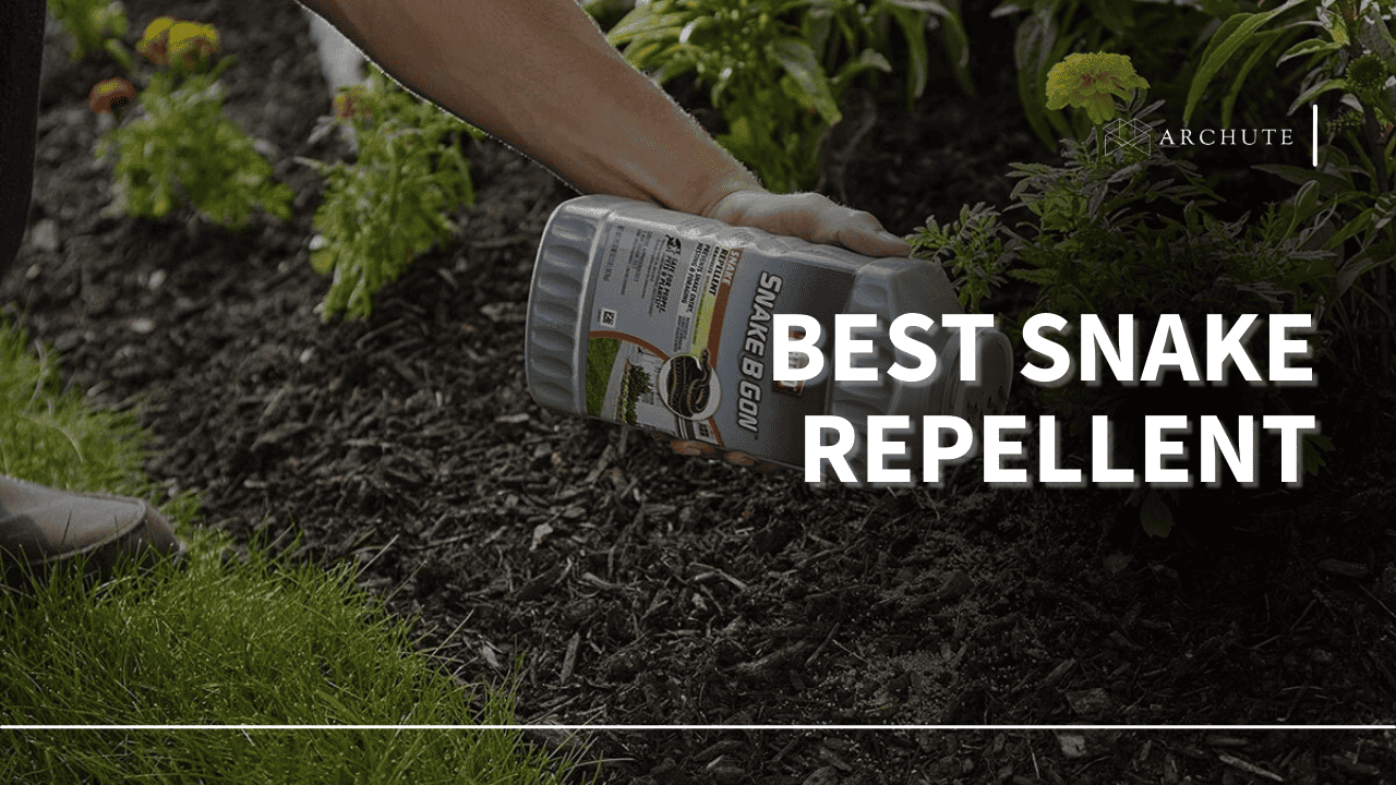 best snake repellent