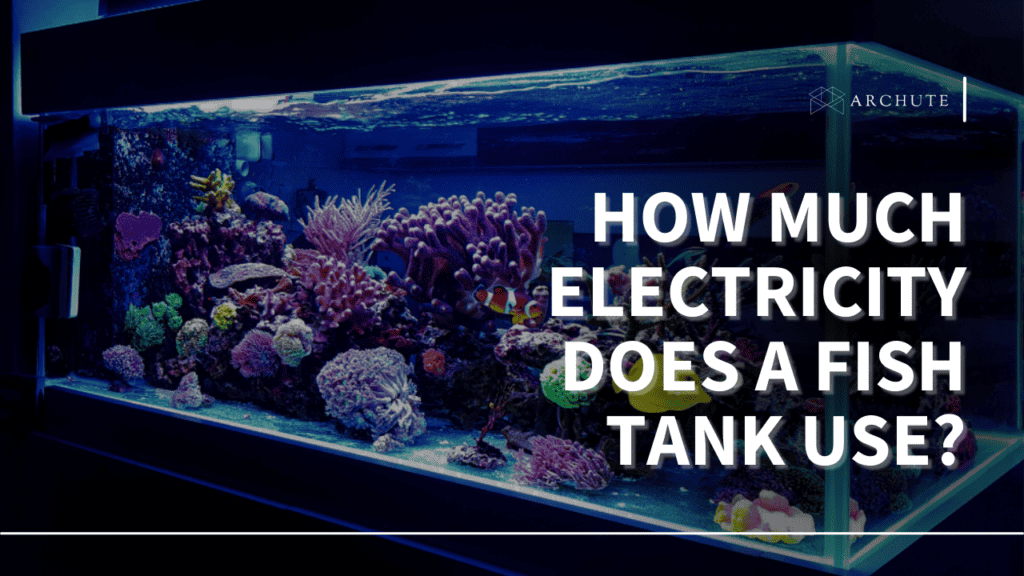 Image showcasing How Much Electricity Doesa Fish Tank Use: A Comprehensive Overview ...