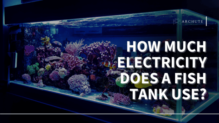 Photo inspiration: How Much Electricity Doesa Fish Tank Use A Comprehensive Overview Photo Inspiration