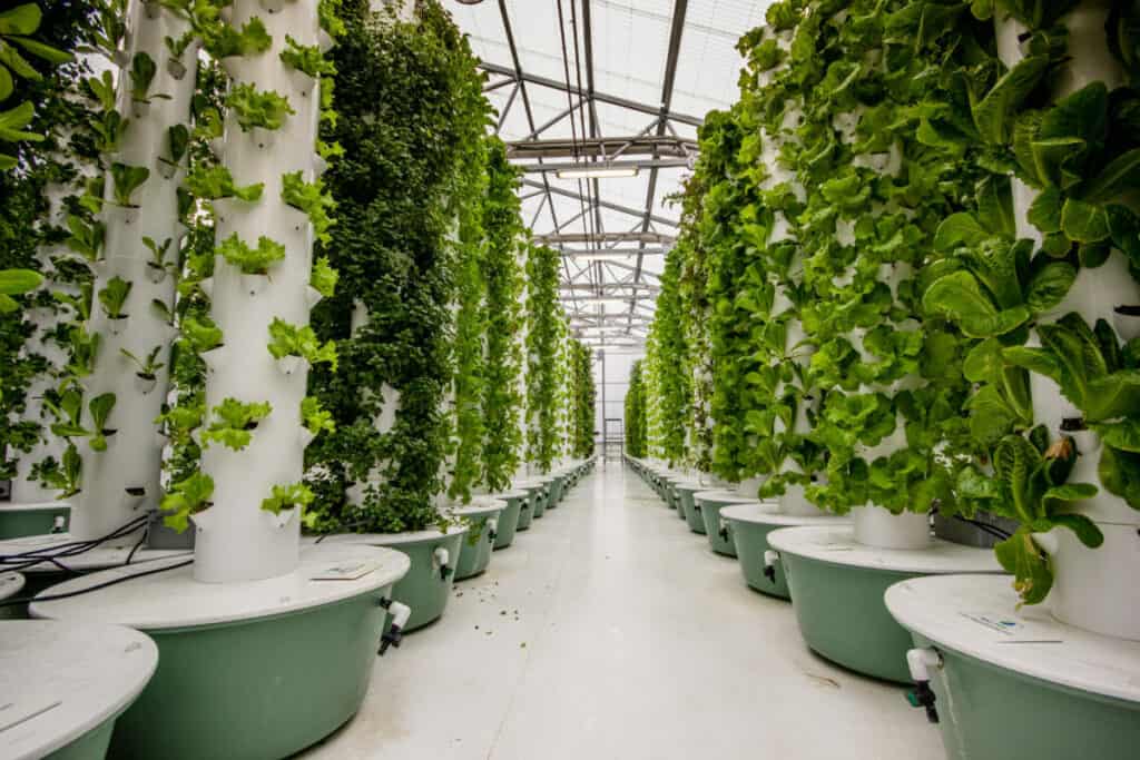 Photo inspiration: Visual Reference: DIY Vertical Gardening Ideas For Limited Spaces