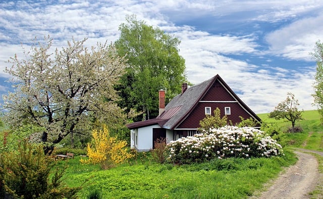 Landscaping Tips: 6 Landscaping Techniques to Minimize Traffic Noise